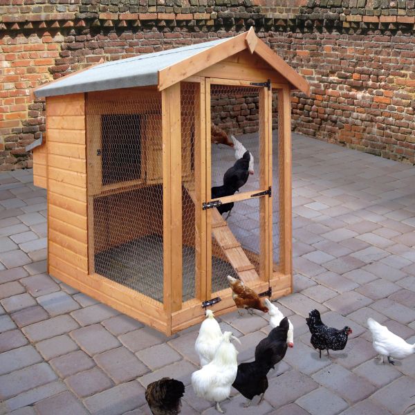 Hen House 604 with optional nest box